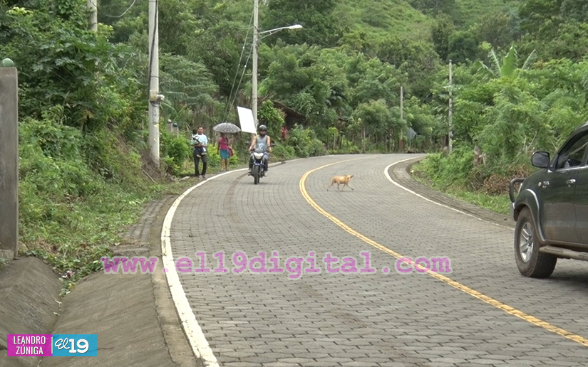 carretera